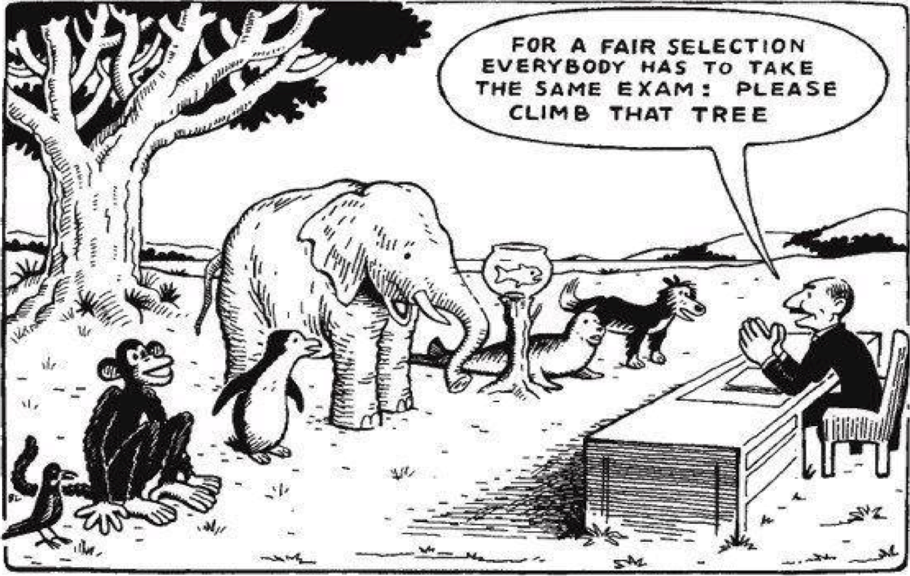 Our Education System